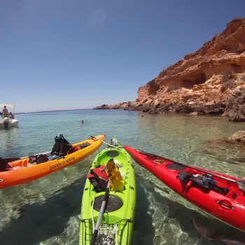 Kayak Excursions
